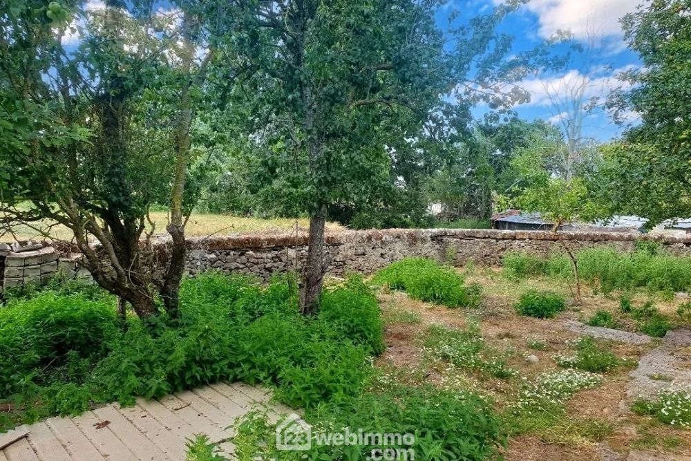 Photo 3 - Chalonnes-sur-Loire 49290 à Chalonnes-sur-Loire