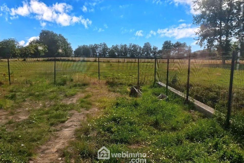 Photo 4 - Chalonnes-sur-Loire 49290 à Chalonnes-sur-Loire