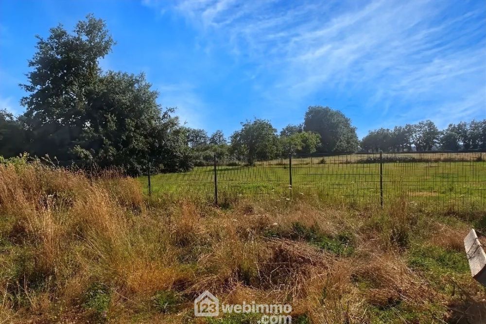 Photo 5 - Chalonnes-sur-Loire 49290 à Chalonnes-sur-Loire