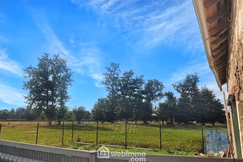 Photo 7 - Chalonnes-sur-Loire 49290 à Chalonnes-sur-Loire