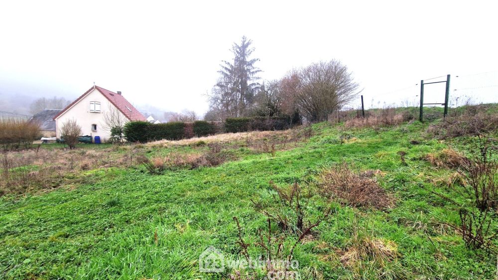 Photo 4 - Suzy 02320 à Suzy