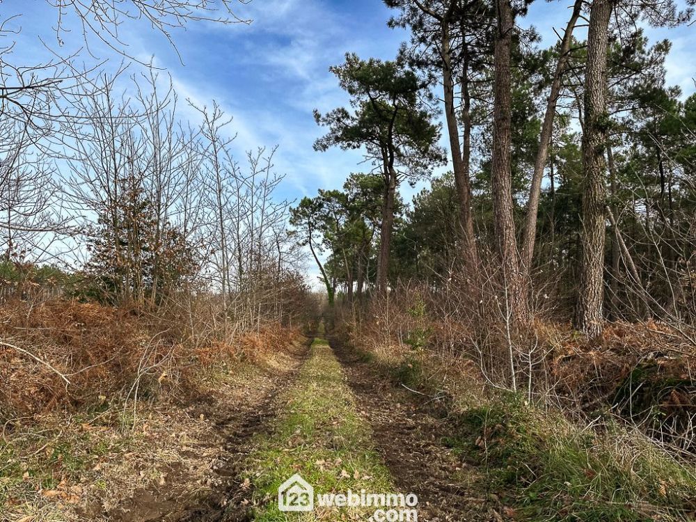 Photo 10 - Mazé-Milon 49630 à Mazé-Milon