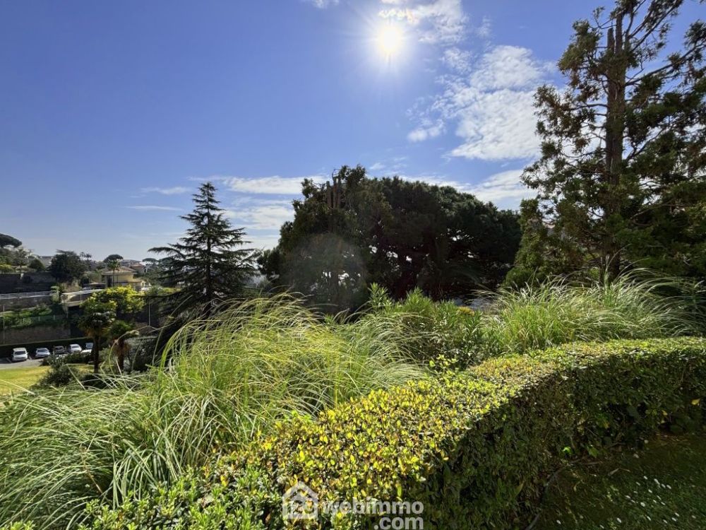 Photo 14 - Cannes 06400 à Cannes