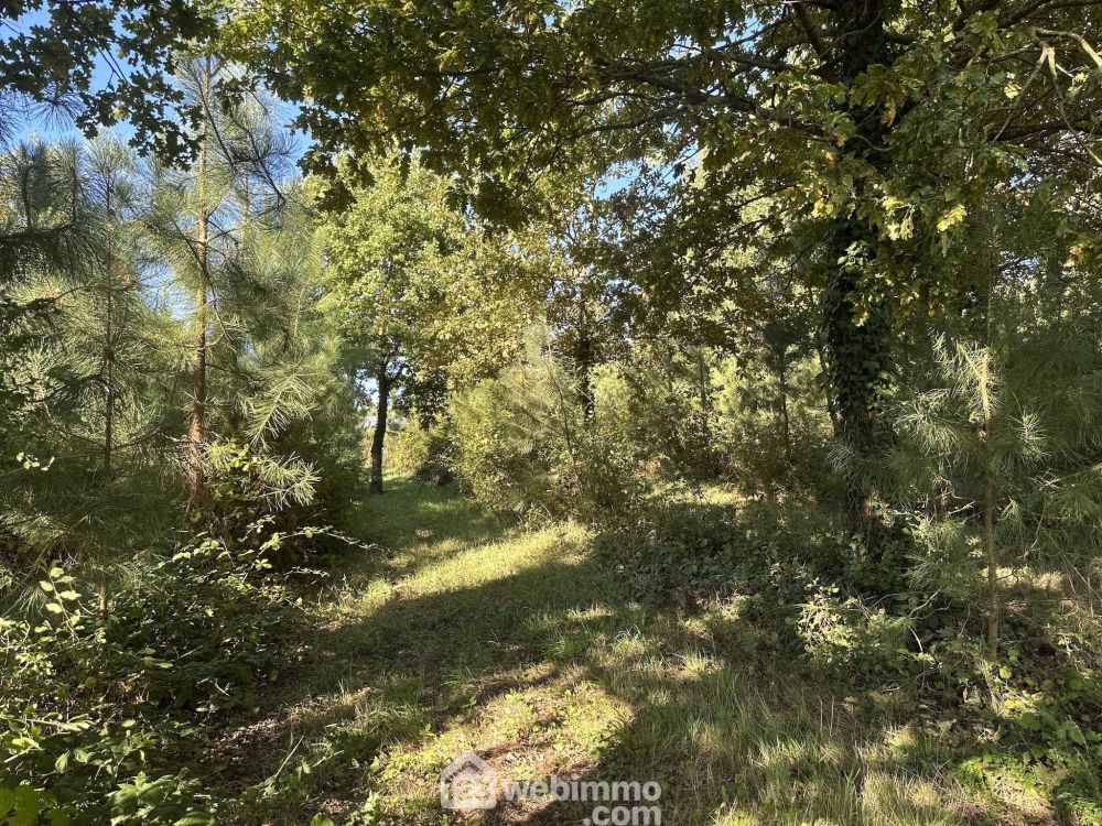 Photo 14 - Mouliherne 49390 à Mouliherne