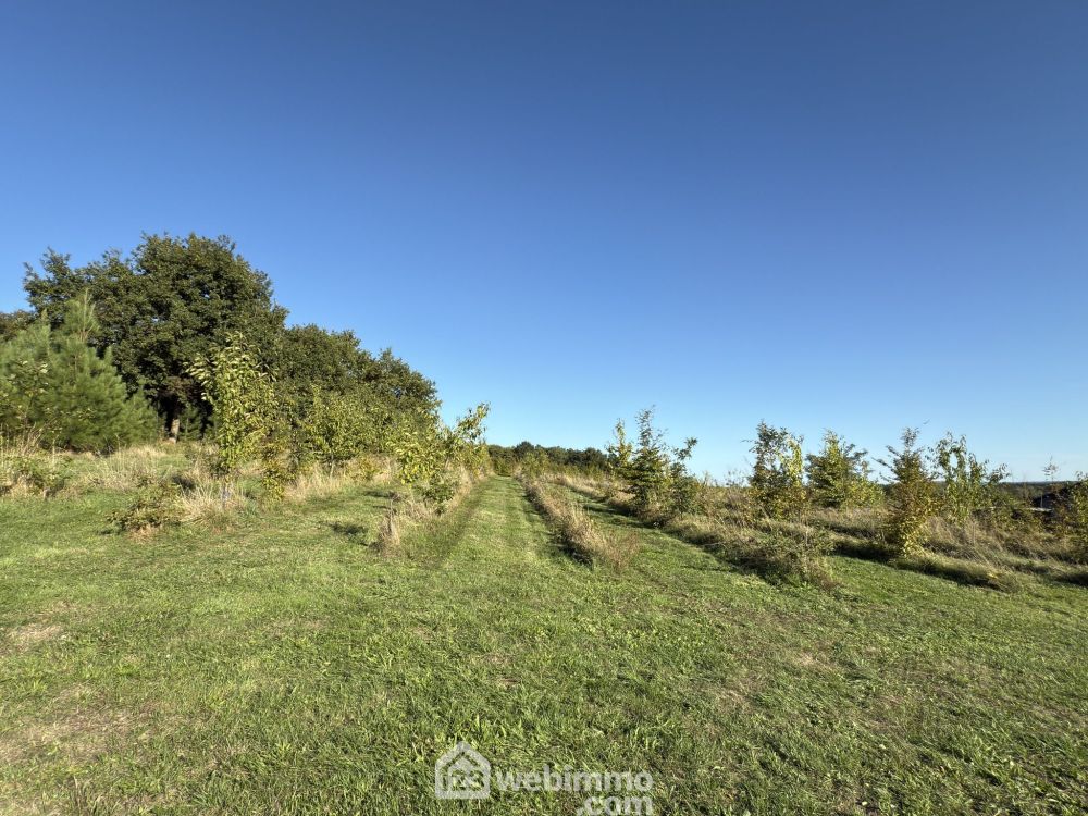 Photo 13 - Mouliherne 49390 à Mouliherne