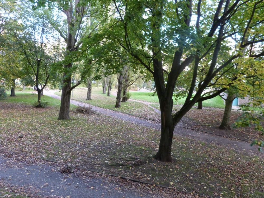 Photo 14 - Sotteville-lès-Rouen 76300 à Sotteville-lès-Rouen