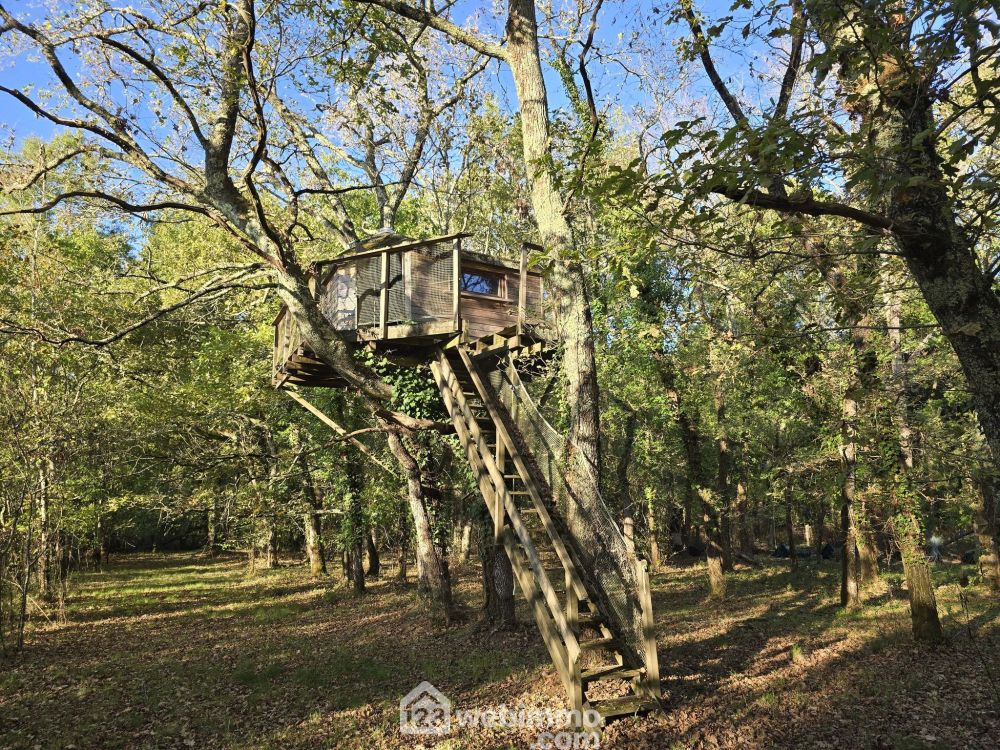 Photo 31 - Le pian-Médoc 33290 à Le pian-Médoc