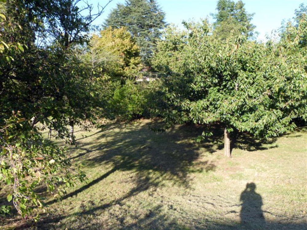 Photo 7 - Thierville-sur-Meuse 55840 à Thierville-sur-Meuse