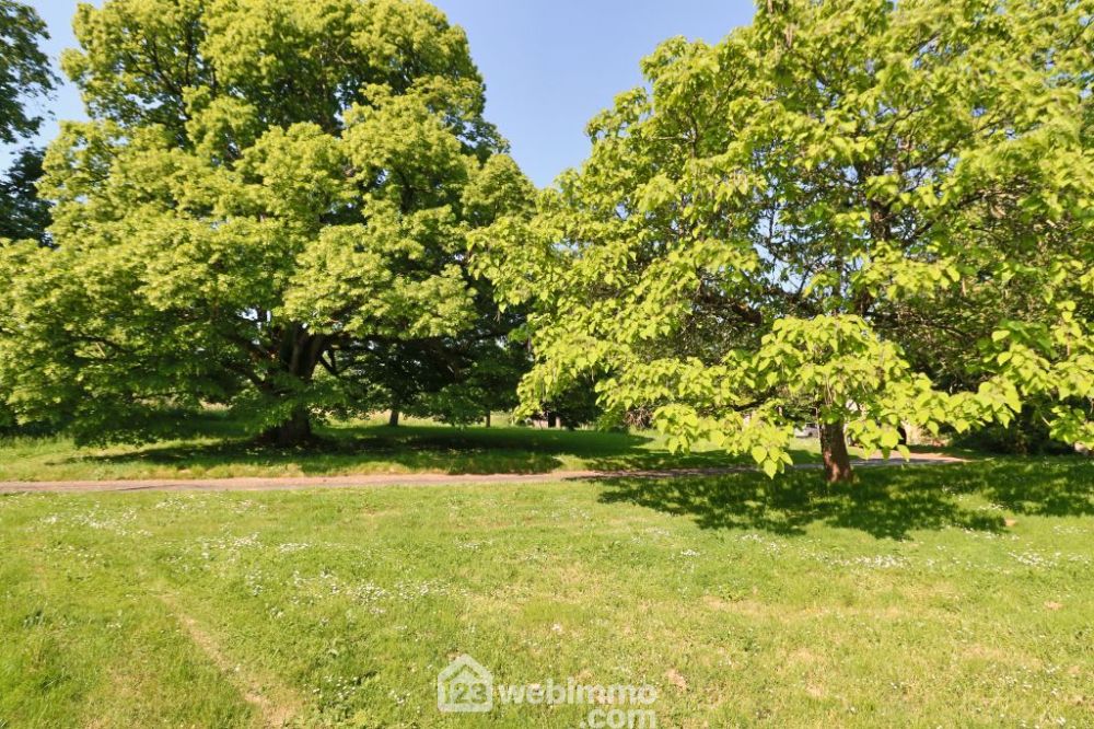 Photo 4 - Sommières-du-Clain 86160 à Sommières-du-Clain