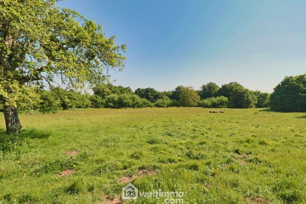 Photo 50 - Sommières-du-Clain 86160 à Sommières-du-Clain