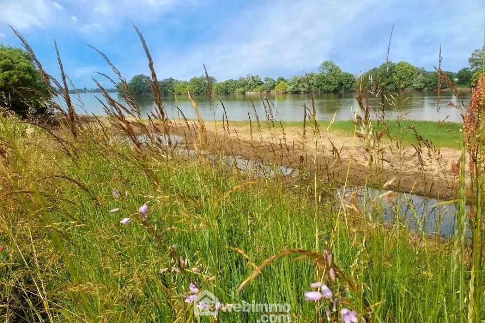 Photo 3 - Mauges-sur-Loire 49410 à Mauges-sur-Loire