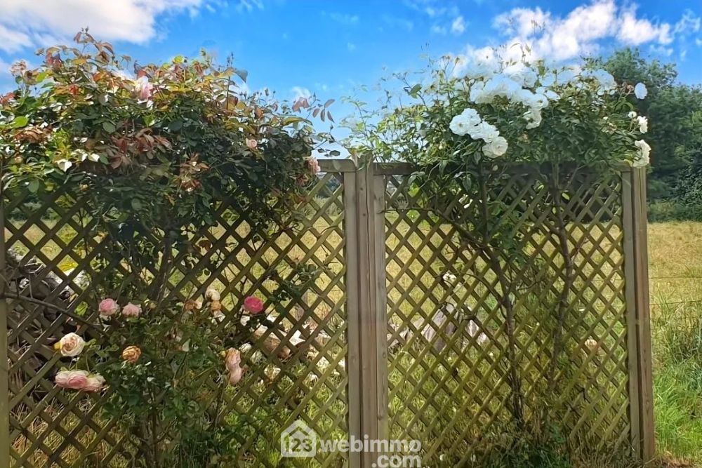 Photo 15 - Mauges-sur-Loire 49410 à Mauges-sur-Loire