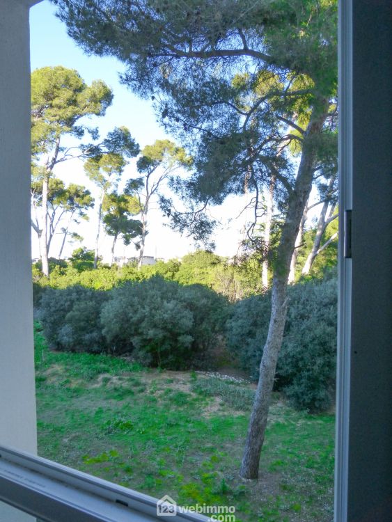 Photo 13 - Marseille 13009 à Marseille