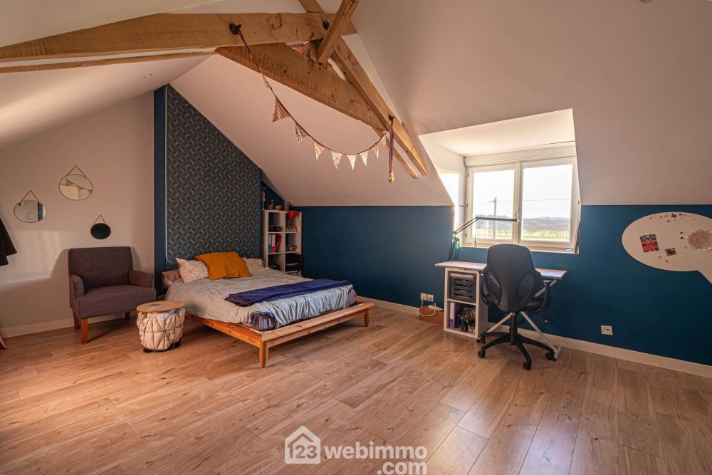 Photo 12 - Chalonnes-sur-Loire 49290 à Chalonnes-sur-Loire