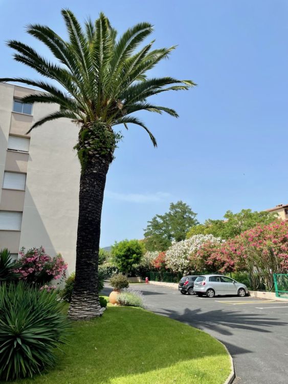 Photo 10 - Sainte-Maxime 83120 à Sainte-Maxime