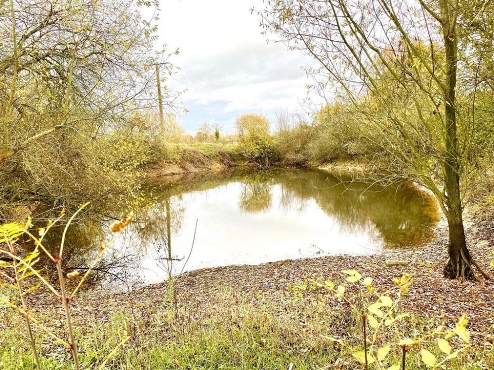 Photo 16 - Le Louroux-Béconnais 49370 à Le Louroux-Béconnais