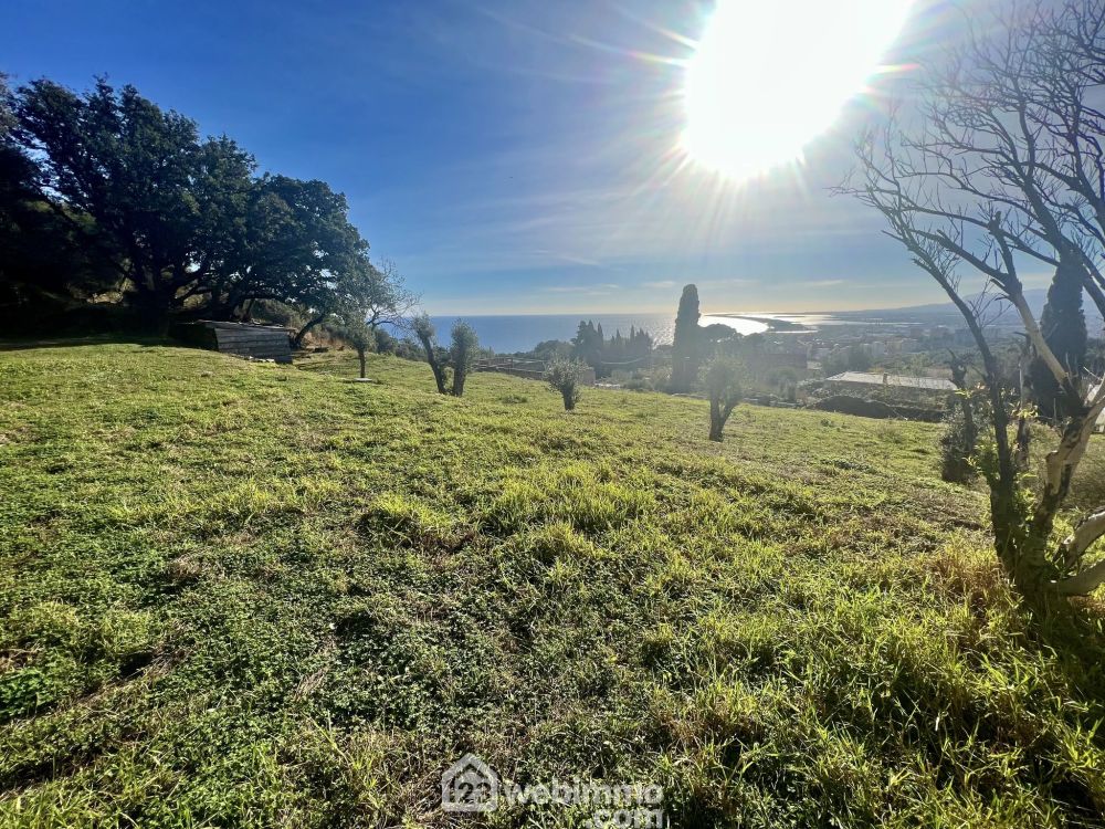 Photo 2 - Bastia 20200 à Bastia