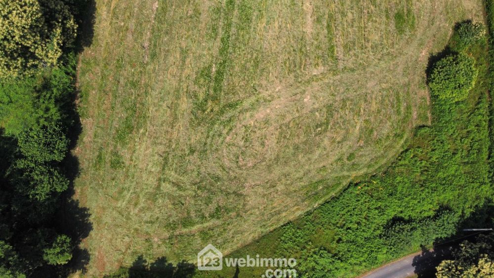 Photo 4 - Nay 64800 à Nay