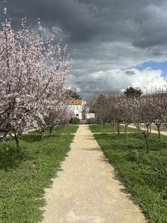 Photo 15 - Marseille 13009 à Marseille