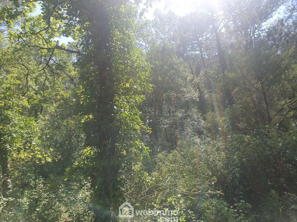 Photo 1 - Le Thoronet 83340 à Le Thoronet