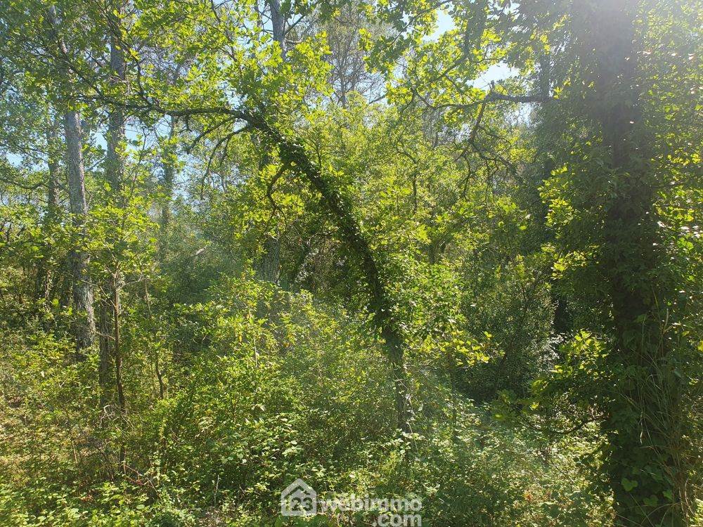 Photo 2 - Le Thoronet 83340 à Le Thoronet