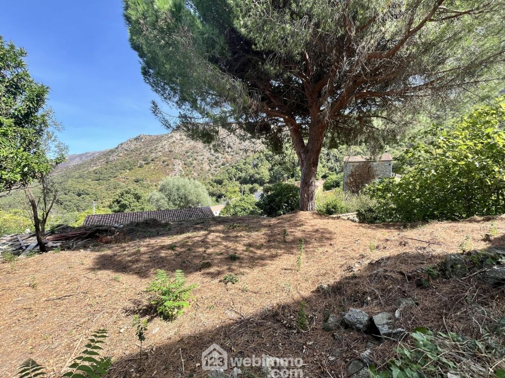 Photo 10 - Muro 20225 à Muro