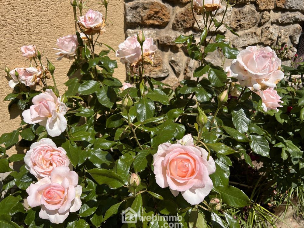 Photo 33 - Vitry-sur-Seine 94400 à Vitry-sur-Seine