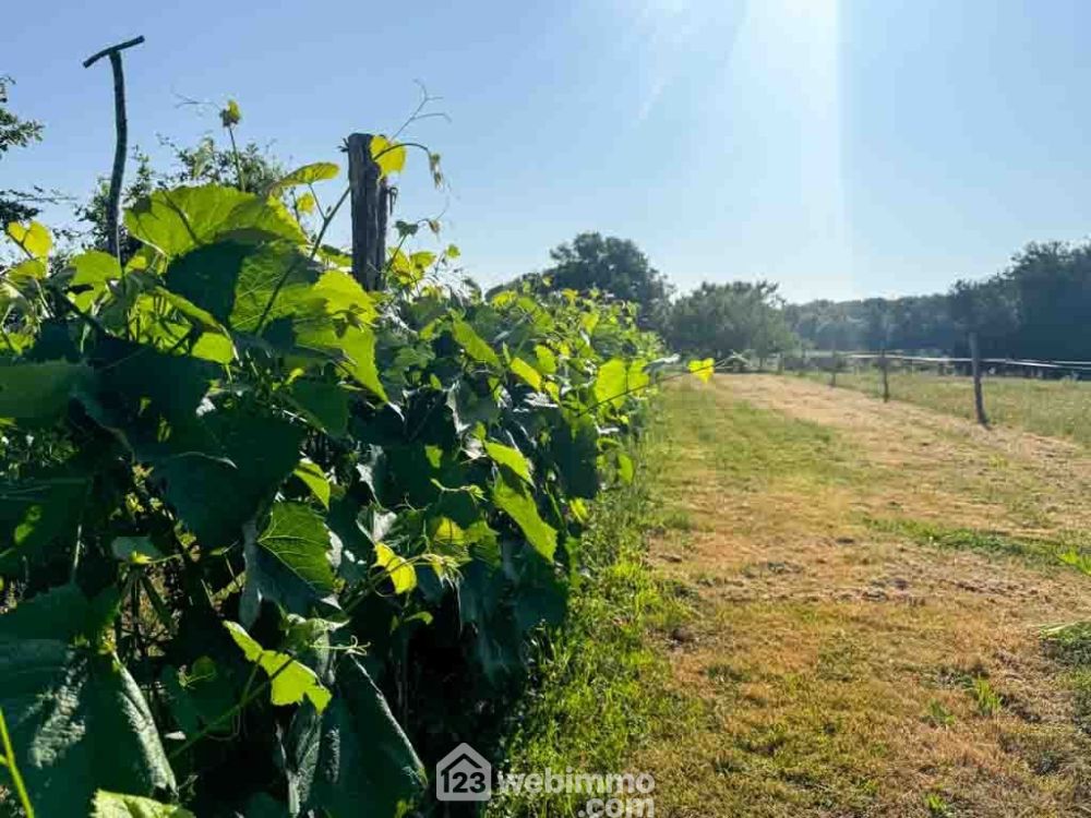 Photo 24 - Sèvremont 85700 à Sèvremont