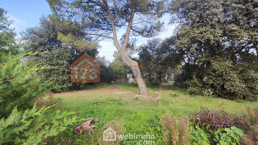 Photo 2 - Vernègues 13116 à Vernègues