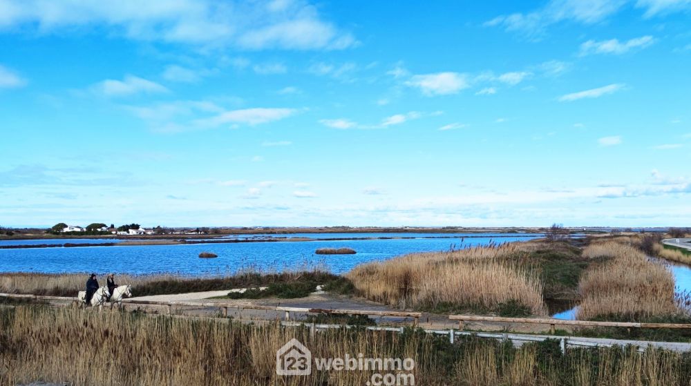 Photo 9 - Saintes-Maries-de-la-Mer 13460 à Saintes-Maries-de-la-Mer