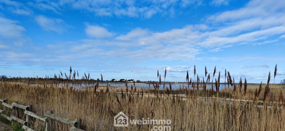 Photo 11 - Saintes-Maries-de-la-Mer 13460 à Saintes-Maries-de-la-Mer