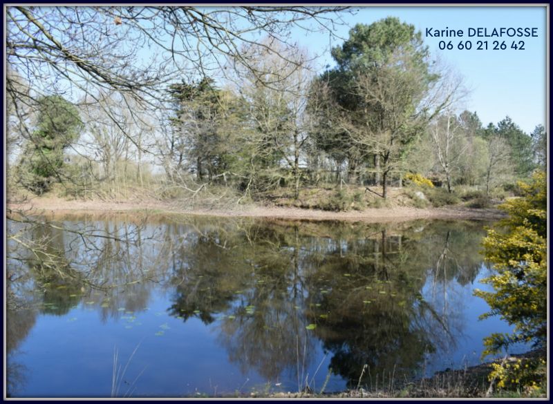 Photo 7 - Sainte-Flaive-des-Loups 85150 à Sainte-Flaive-des-Loups