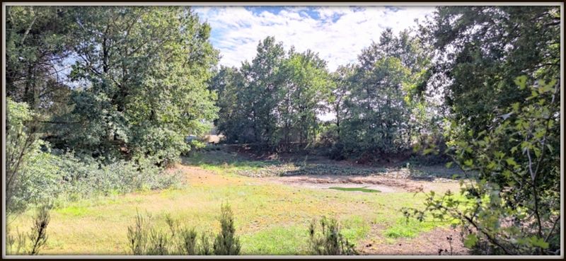 Photo 9 - Sainte-Flaive-des-Loups 85150 à Sainte-Flaive-des-Loups