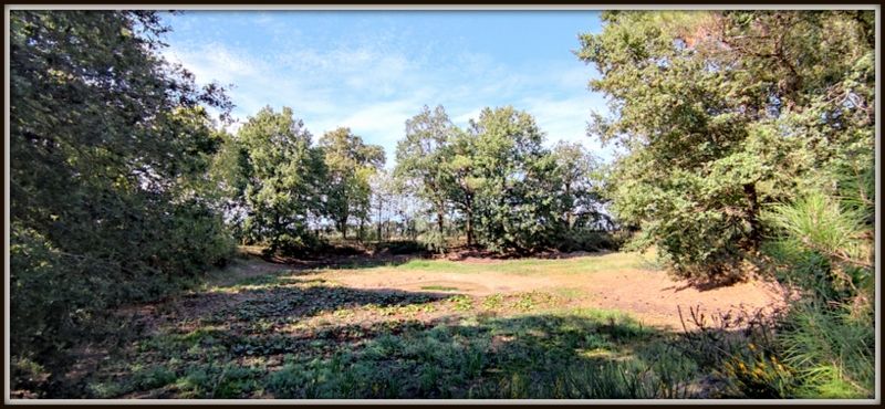 Photo 10 - Sainte-Flaive-des-Loups 85150 à Sainte-Flaive-des-Loups