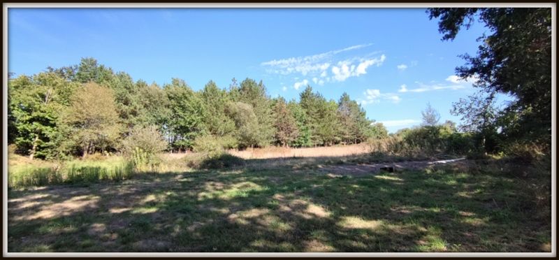 Photo 8 - Sainte-Flaive-des-Loups 85150 à Sainte-Flaive-des-Loups