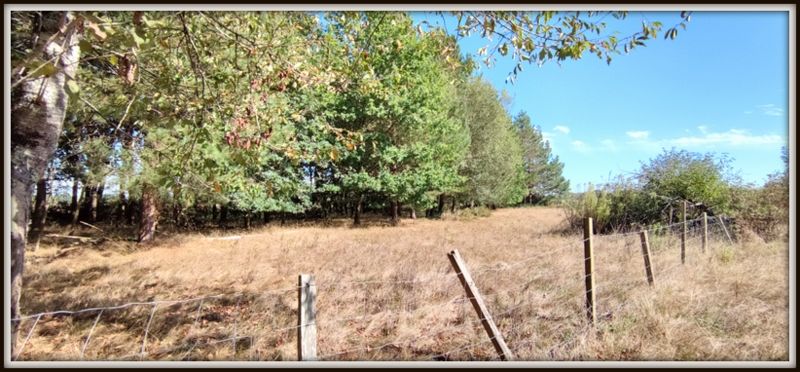 Photo 5 - Sainte-Flaive-des-Loups 85150 à Sainte-Flaive-des-Loups