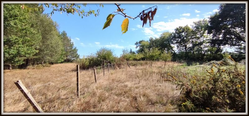 Photo 12 - Sainte-Flaive-des-Loups 85150 à Sainte-Flaive-des-Loups