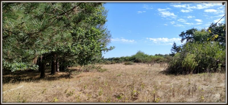 Photo 4 - Sainte-Flaive-des-Loups 85150 à Sainte-Flaive-des-Loups