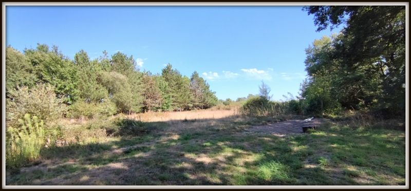 Photo 11 - Sainte-Flaive-des-Loups 85150 à Sainte-Flaive-des-Loups