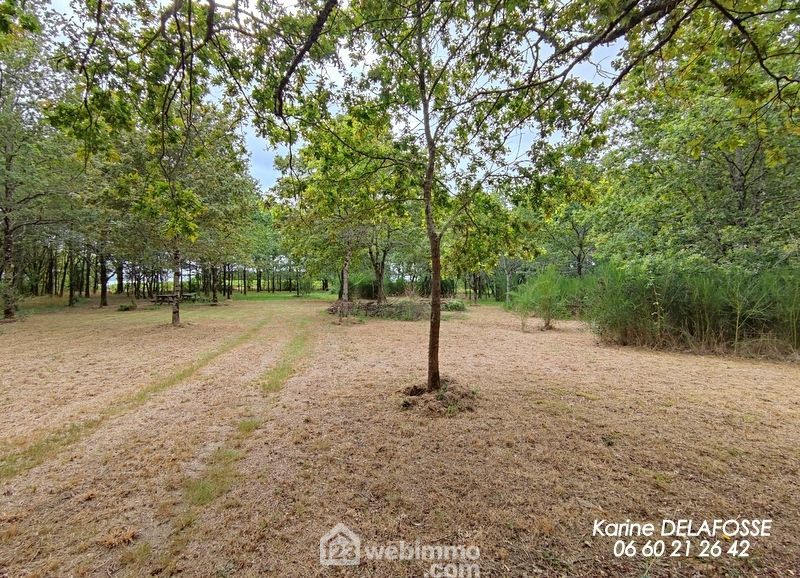 Photo 6 - RIVES DE L'YON 85310 à RIVES DE L'YON