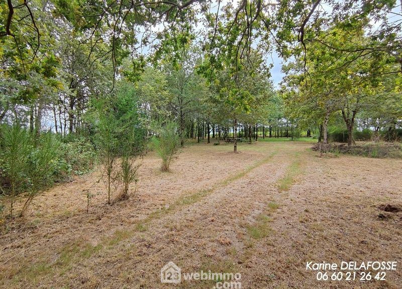 Photo 5 - RIVES DE L'YON 85310 à RIVES DE L'YON