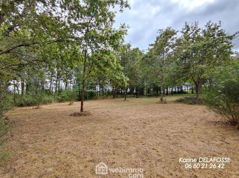 Photo 3 - RIVES DE L'YON 85310 à RIVES DE L'YON