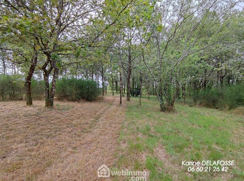 Photo 4 - RIVES DE L'YON 85310 à RIVES DE L'YON