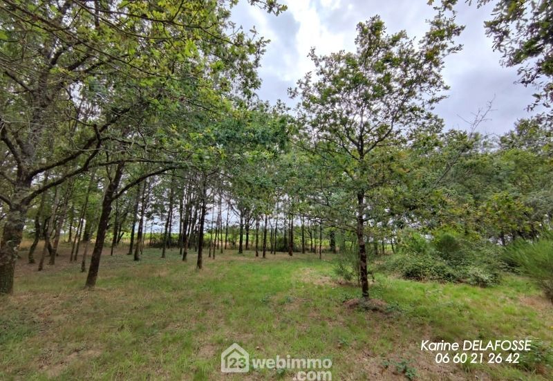 Photo 2 - RIVES DE L'YON 85310 à RIVES DE L'YON