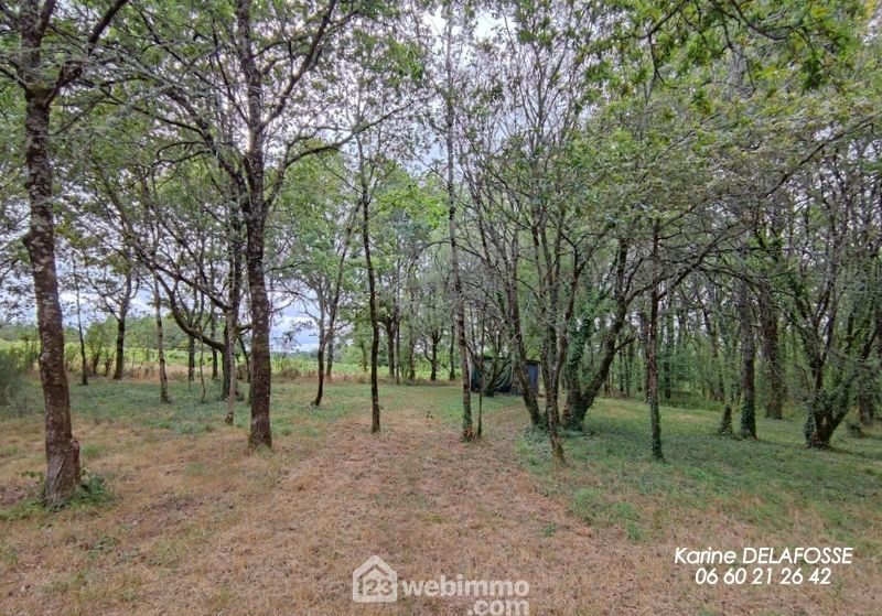 Photo 8 - RIVES DE L'YON 85310 à RIVES DE L'YON