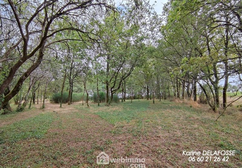 Photo 9 - RIVES DE L'YON 85310 à RIVES DE L'YON