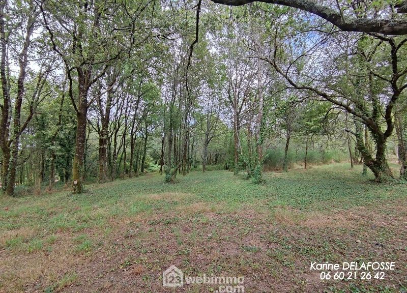 Photo 10 - RIVES DE L'YON 85310 à RIVES DE L'YON