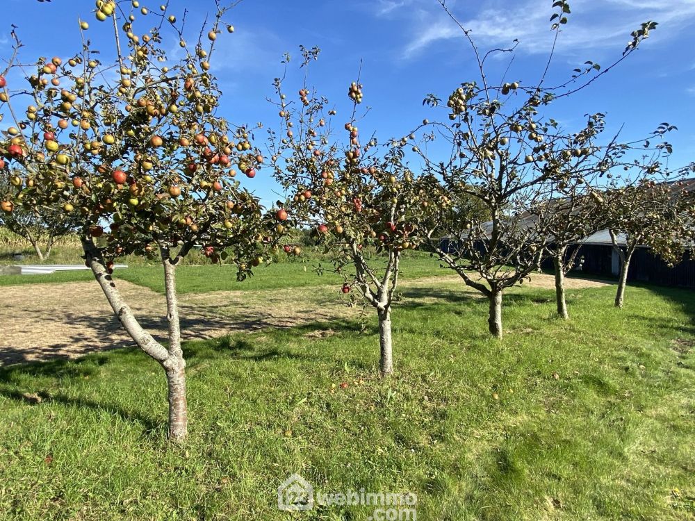 Photo 22 - Plédran 22960 à Plédran