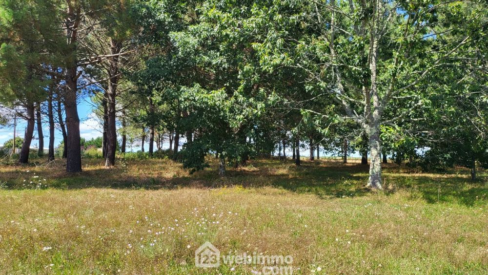 Photo 23 - Arcins 33460 à Arcins