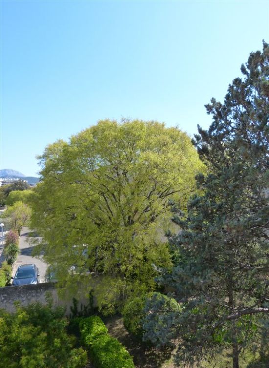 Photo 16 - Marseille 8 13008 à Marseille 8